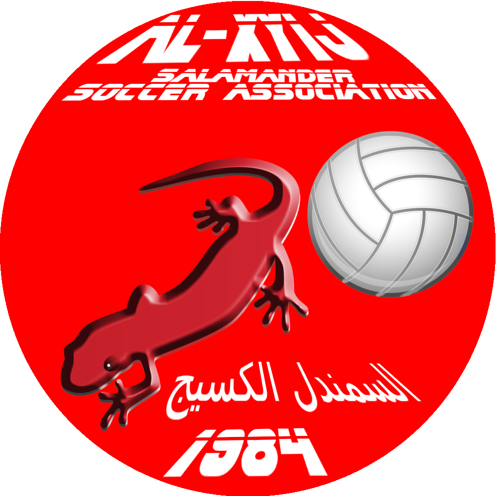 alxyij fc logo