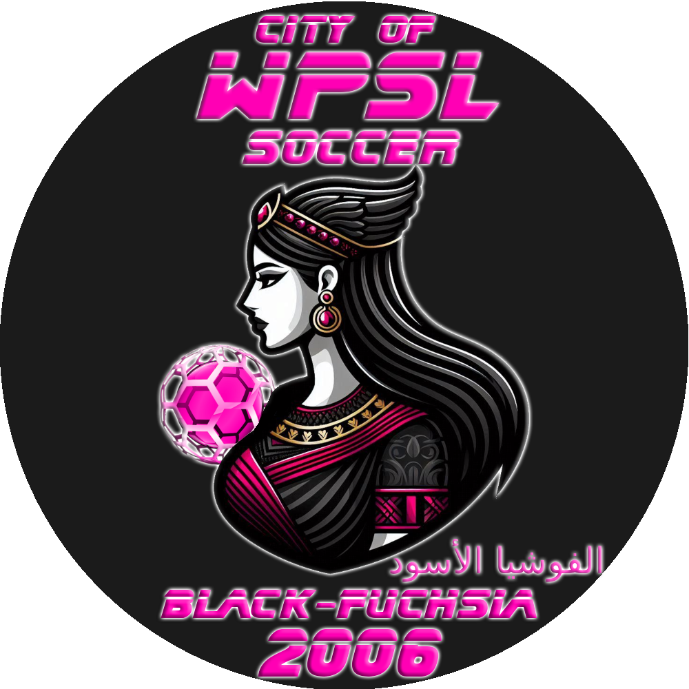 wpsl soccer logo
